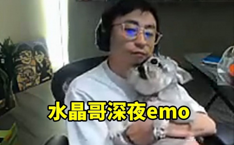 水晶哥深夜抱狗emo：作为队长我感觉我挺尽力了