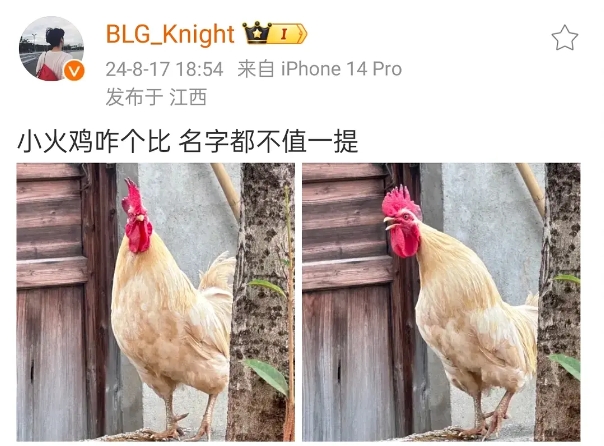 爆？?BLG瓦knight疑似阴阳FPX：小火鸡咋个比 名字都不值一提